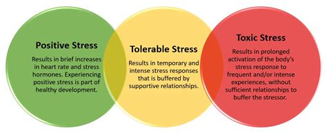 ACEs Trauma And Stress MN Dept Of Health