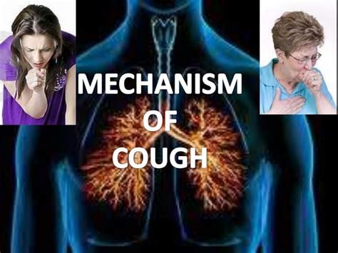 Mechanism of cough and sneeze reflex