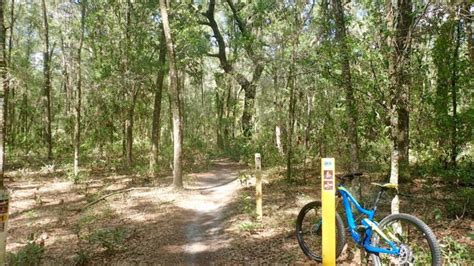 Santos Trails Cross Florida Greenway Florida Hikes