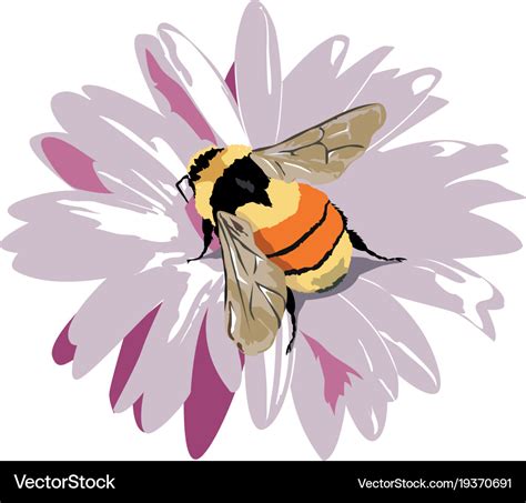 Bumble Bee On A Flower Royalty Free Vector Image