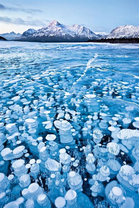 Frozen Bubbles Abraham Lake Alberta Canada Rpics