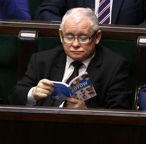 Jarosław Kaczyński i Atlas kotów fakty interia pl