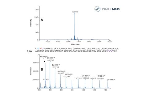 Lc Ms Analysis Of Sirna Single Guide Rna And Impurities Using The