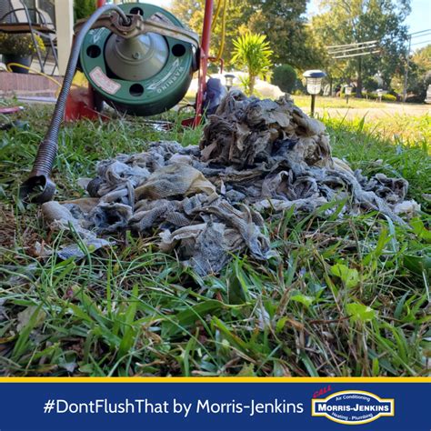 Why Flushable Wipes Arent Exactly Flushable Morris Jenkins