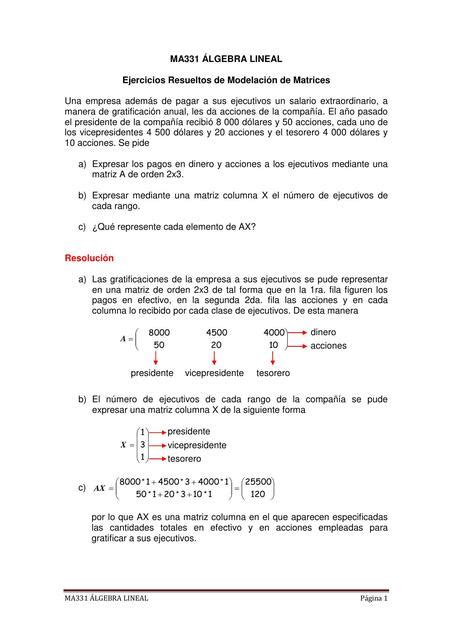 Ejercicio Resuelto De Modelaci N Con Matrices Daniella Vargas Udocz