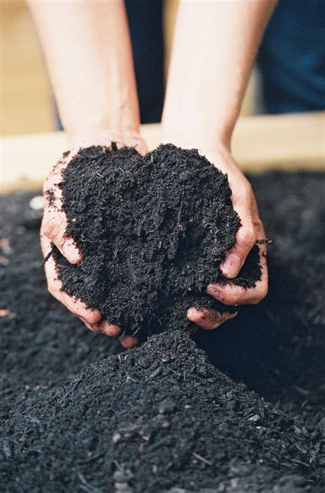 What Type Of Garden Soil Is Best For Raised Beds • Gardenary