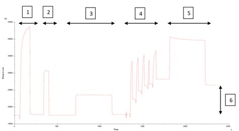 Immobilization Of Csfv On Cm5 Sensor Chip Immobilization Of Csfv In 10