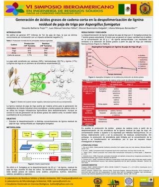 Generaci N De Cidos Grasos De Cadena Corta En La Despolimerizaci N De