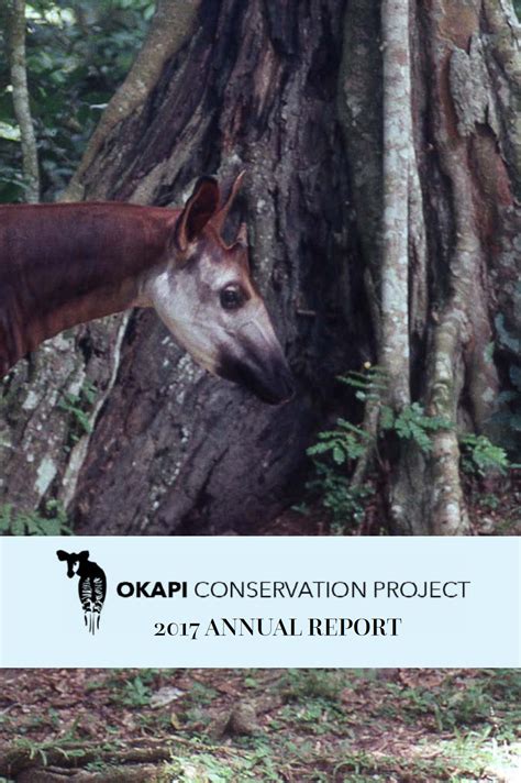 Annual Reports — Okapi Conservation Project