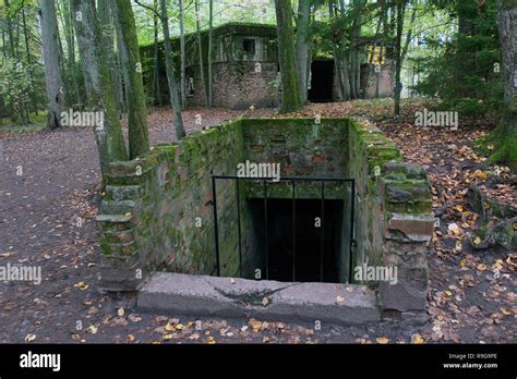 Remains Of Wolfs Lair German Wolfsschanze Führers Headquarters Of