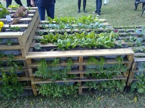 25 Ways Of How To Use Pallets In Your Garden