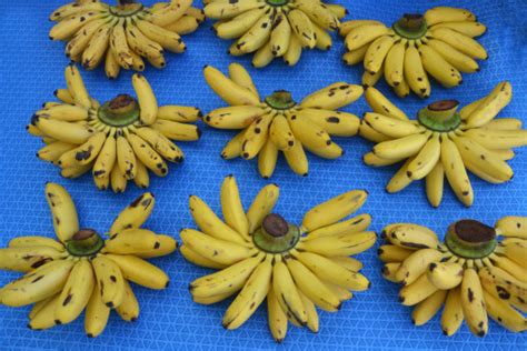 Free Images Bunch Flower Meal Food Produce Yellow Fresh Fruit