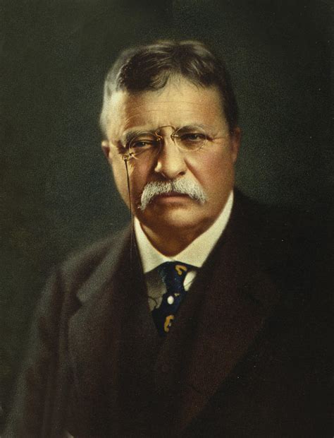 Theodore Roosevelt President Of The United States Photograph By