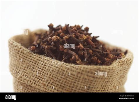 Studio Shot Of Indian Spices Clove Stock Photo Alamy