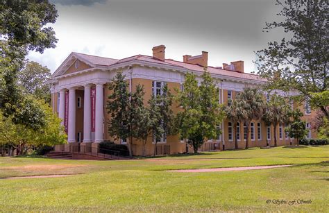 The University Of South Carolinas Horseshoe Sc Sylvies Adventures
