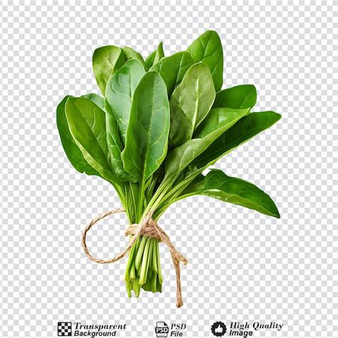 Premium PSD Spinach Isolated On Transparent Background