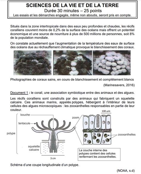 Svt 2022 Sujet Vive Les SVT Les Sciences De La Vie Et De La Terre