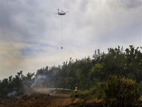 Cerca De Hect Reas Ha Consumido Incendio Forestal Que Afecta A Arauco