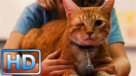 Одноглазый кот Фред / Одарённая (2017) - YouTube