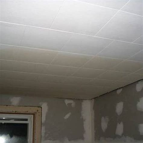 Best Way To Paint Drop Ceiling Tiles - Ceiling Ideas