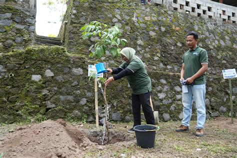 Peringati Hari Air Dunia Pemkab Sleman Lakukan Penanaman Pohon Dan