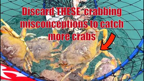 Discard These Crabbing Misconceptions To Catch More Crabs From Zero