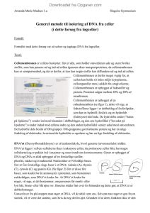 Isolering Af Dna Biologi Opgaver