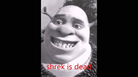 Shrek Is Dead Youtube