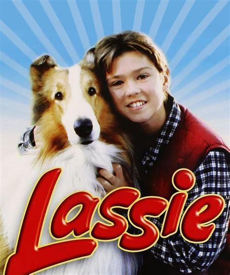 Lassie Série Saisons Episodes Acteurs Actualités Épisode