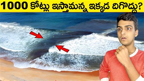 Top Amazing Interesting Facts Best Telugu Facts Telugu Facts