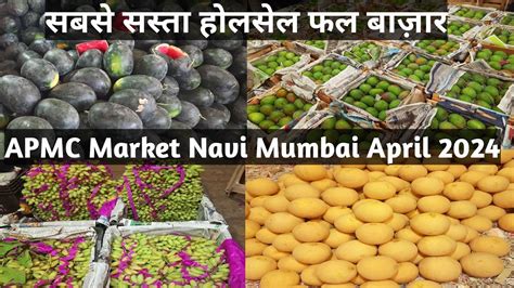 APMC Wholesale Fruit Market L APMC Vashi Navi Mumbai L APMC Market Navi