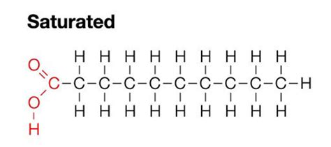 Monounsaturated Fat Is It So Good For You After All Optimising