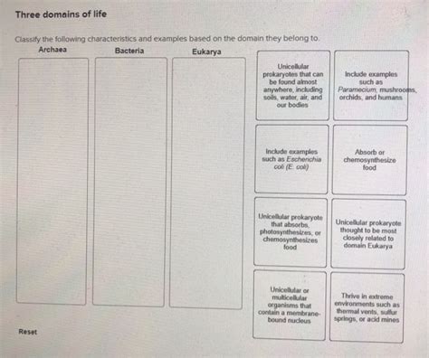 Bacteria Domain Examples