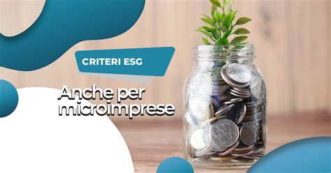 Sostenibilità e credito criteri ESG anche per microimprese Studio