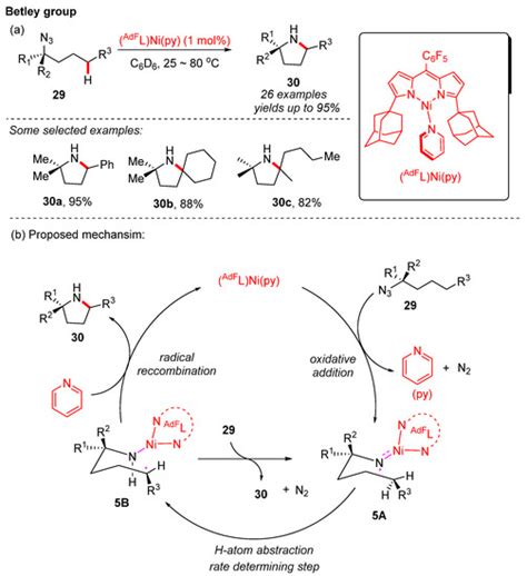 Catalysts Free Full Text Recent Strategies In Nickel Catalyzed Ch