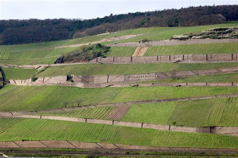 Germany Landscape Vineyard Free Photo On Pixabay Pixabay