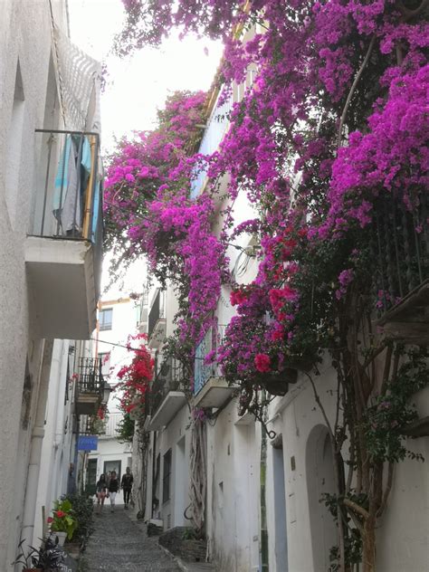 Cadaqués - Food for all your senses - vi(e)