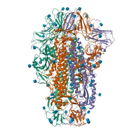 RCSB PDB 6M39 Cryo EM Structure Of SADS CoV Spike