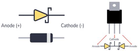 Schottky Diode: A Beginner’s Guide