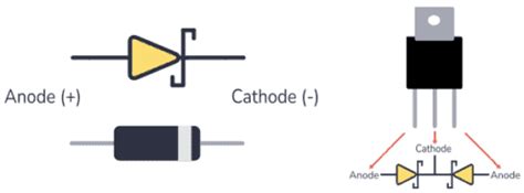 Schottky Diode A Beginners Guide