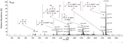 Figure 11 From Development Of Cytotoxic GW7604 Zeises Salt Conjugates