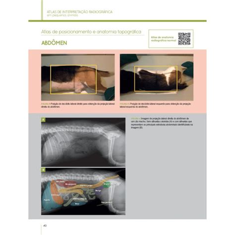 Livro Atlas de Interpretação Radiográfica em Pequenos Animais 2ª
