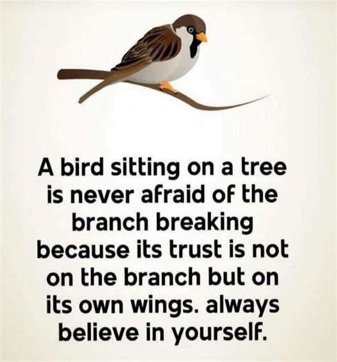 A Bird Sitting On A Tree Is Never Afraid Of The Branch Breaking