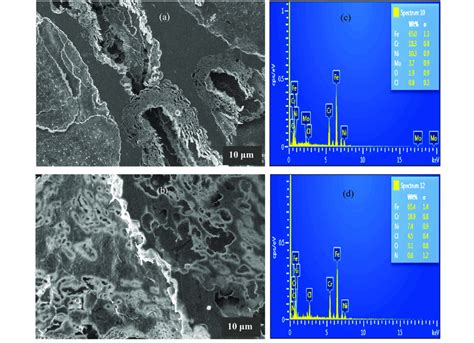 Sem Edx Surface Images Â1000 For Ss316l Stainless Steel After Download Scientific Diagram