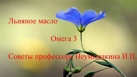 Омега 3 Льняное масло Советы Неумывакина И. П. - YouTube