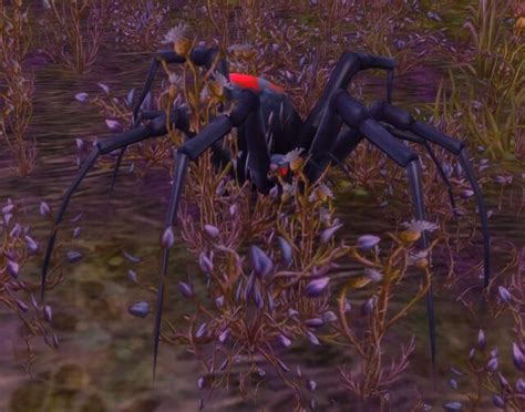 Vicious Night Web Spider Warcraft Wiki Your Wiki Guide To The World