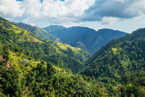 The Blue Mountains and the east Travel Guide | What to do in The Blue Mountains and the east ...