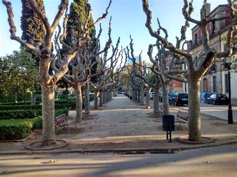 Barcelona's Ciutadella Park in Pictures - Barcelona Experience