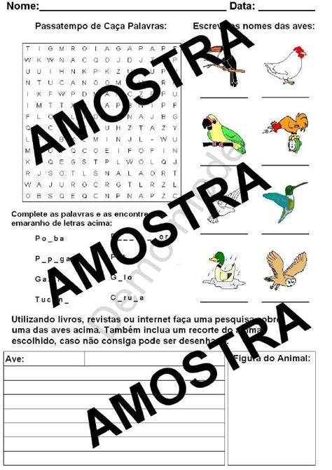 Caca Palavras Sobre Aves