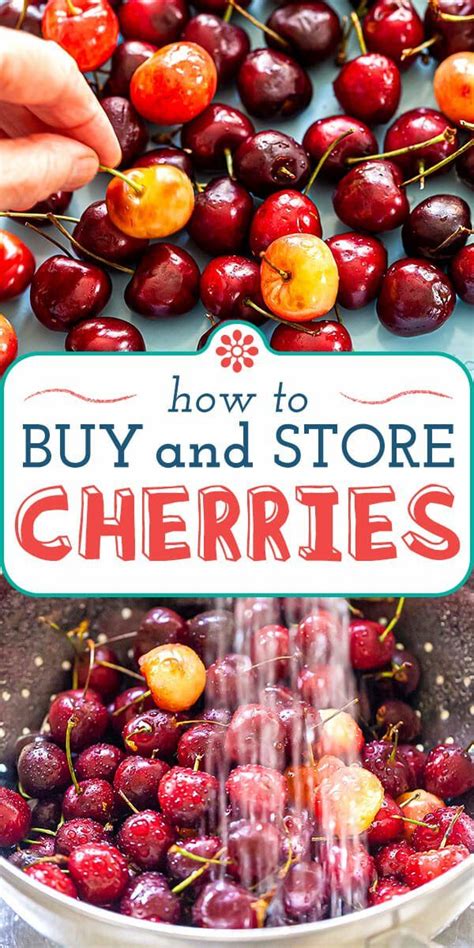 How To Buy And Store Cherries In Summer Fruit Recipes Cherry